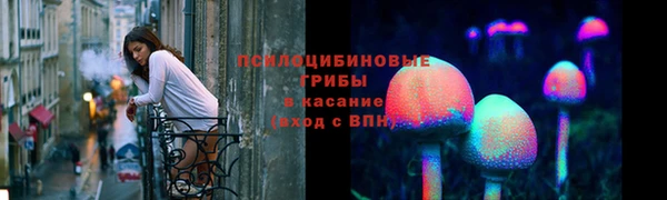 гашик Волоколамск
