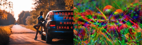 гашик Волоколамск