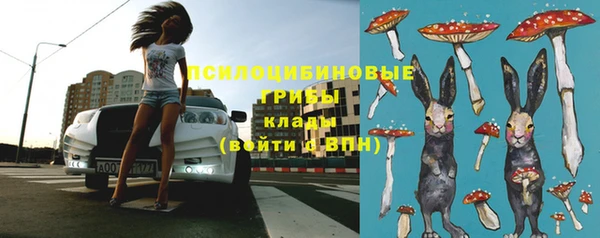 ГАЛЛЮЦИНОГЕННЫЕ ГРИБЫ Верхнеуральск
